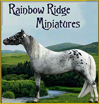 Rainbow Ridge Miniatures
